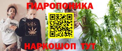 каннабис Будённовск